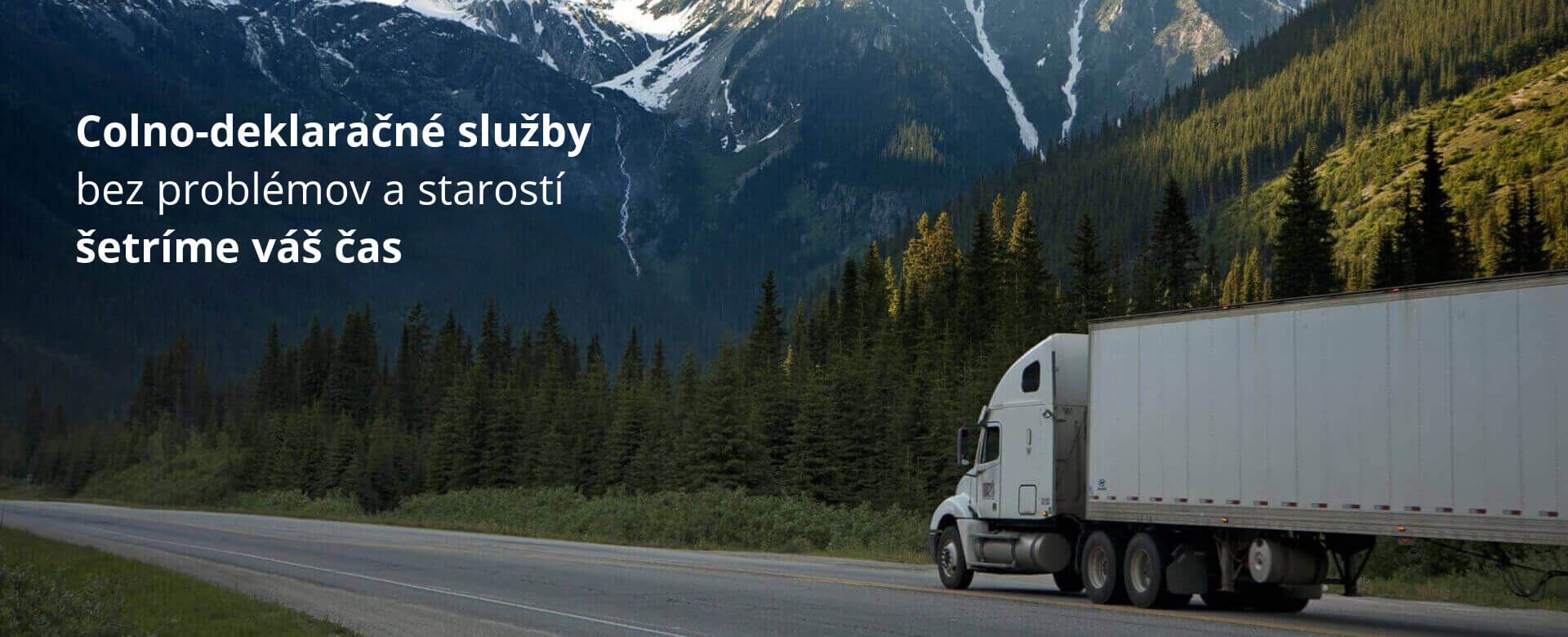 MDT-Zolltrans TIR CARNET
